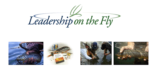 Leadership on the Fly