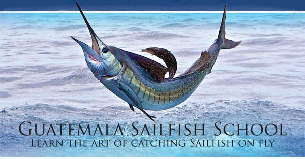 Guatemala Sailfish School ~ Learn the Art of Catching Sailfish on Fly